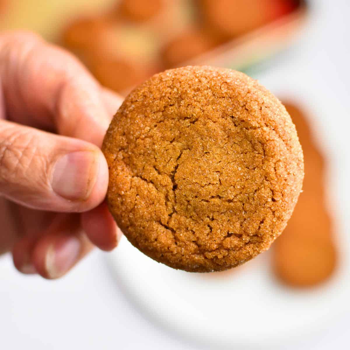 old fashioned ginger snap cookies