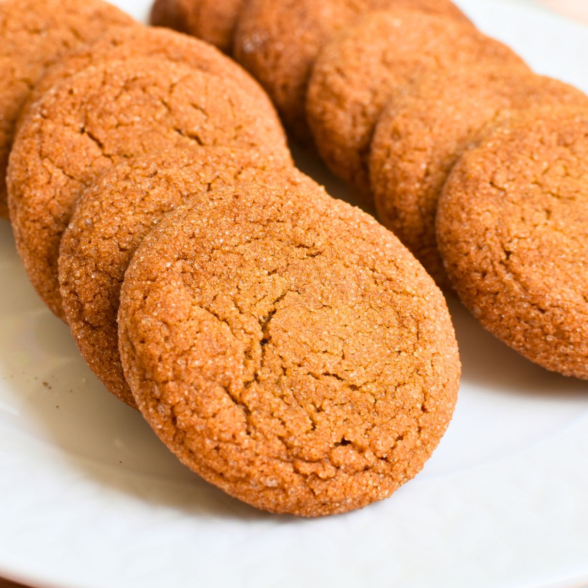 old fashioned ginger snap cookies